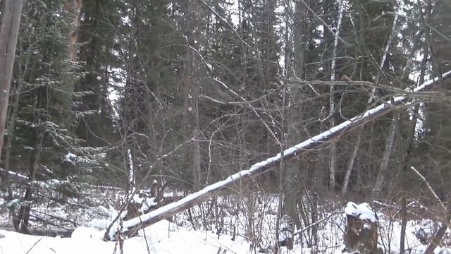 Раскопал старый отвал!!! Вот оно ЗОЛОТО!!! смотреть онлайн