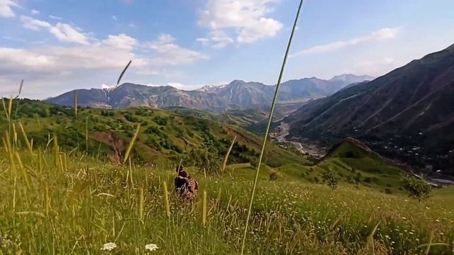 Сказочный Нуробод 😍😍🥰🥰 смотреть онлайн