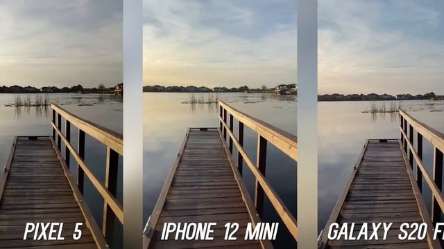 IPhone 12 Mini Vs Pixel 5 Vs Galaxy S20 FE Camera Comparison Test
