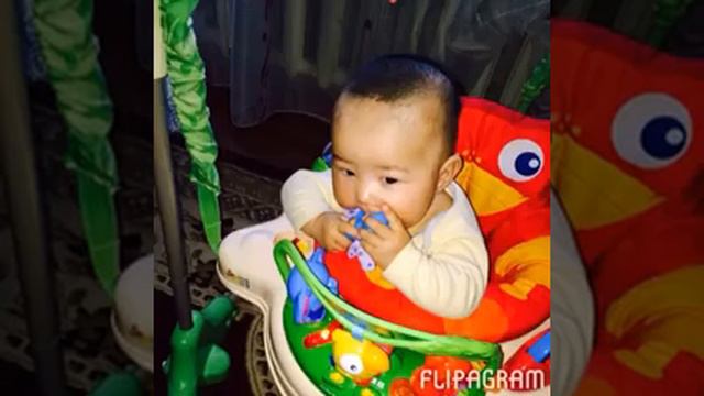 Менин жаным сол смотреть онлайн