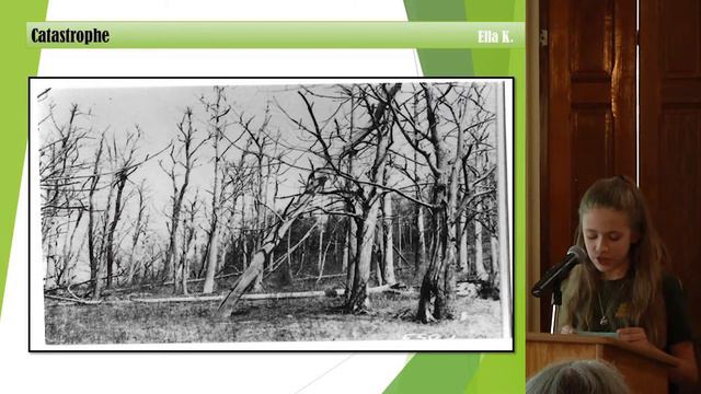 Chestnut Tree Presentation at Monson Free Library 06/07/2018 смотреть онлайн