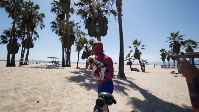 Spider-Man In Real Life Public Stunt смотреть онлайн