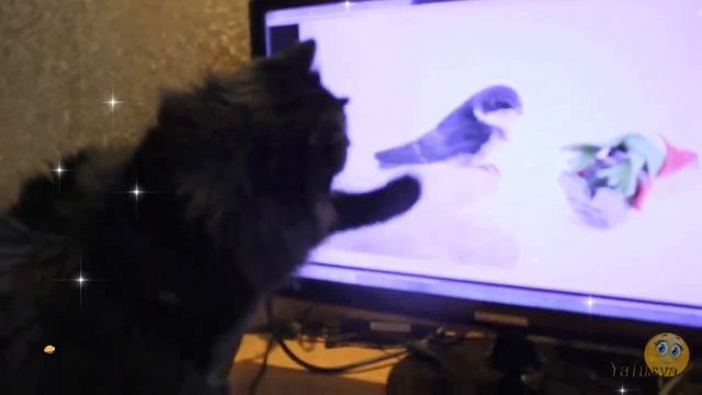 Большая охота и... Переходы для ProShow Producer - Смайлики смотреть онлайн