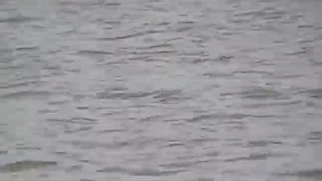 Волчиха.Карасик. смотреть онлайн