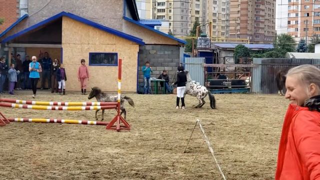 Праздник в конно-спортивном клубе "Белая лошадь",г.Магнитогорск смотреть онлайн