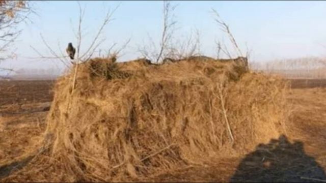? Ч.2 КАК ПРАВИЛЬНО И ТОЧНО СТРЕЛЯТЬ ГУСЯ ? смотреть онлайн