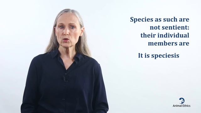 Animal ethics and environmental ethics смотреть онлайн