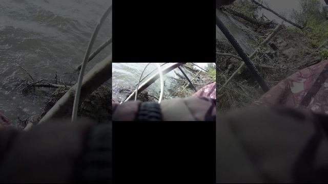 ловля крупного судака на живца с берега смотреть онлайн