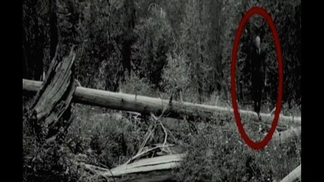 How the Slenderman Became A "Real" Entity смотреть онлайн