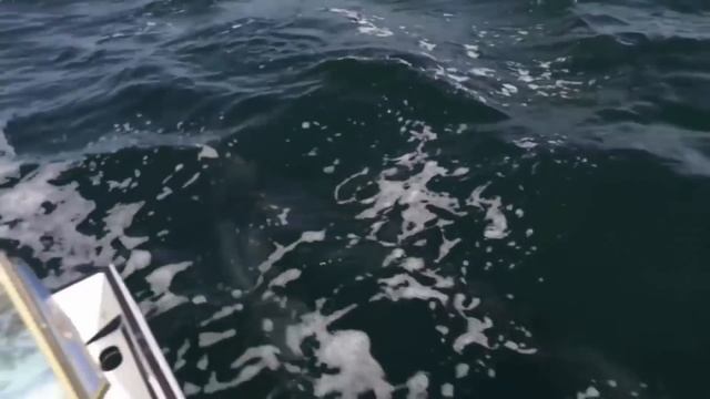 РЫБАЧКА ПОЙМАЛА НЕЧТО ! КОГДА ОНА ЭТО ВЫТАЩИЛА ВСЕ ПОПАДАЛИ ОТ ЕЁ УЛОВА Вот это Рыбалка 2018 смотреть онлайн