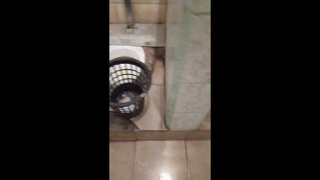 Тубзик Патруль #2 смотреть онлайн