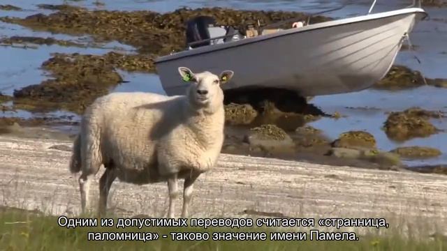 Значение имени Памела. Толкование, судьба, характер смотреть онлайн