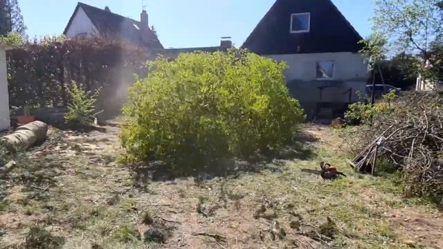 Рубим деревья смотреть онлайн