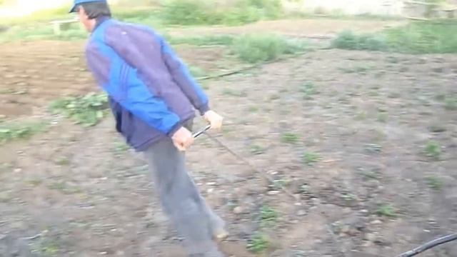 Окучивание картошки 2. Плуг для двоих.