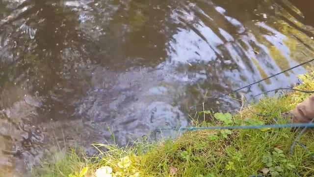 magnet fishing (we found a gun barrel) смотреть онлайн