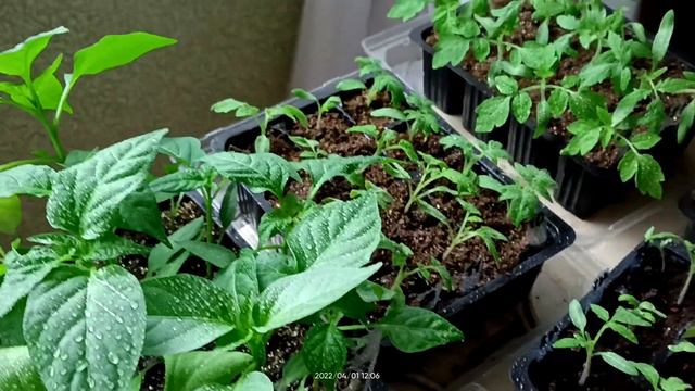 Цветоводный парк