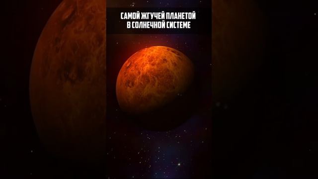 ВЕНЕРА смотреть онлайн