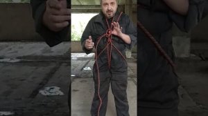 «паук» обвязка пострадавшего