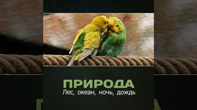 Океан, Духовная трансформация