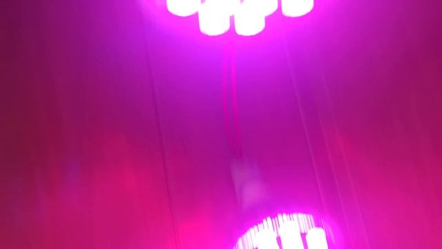 Лампы для растений 12 Вт, цоколь е27, led grow light 12 w смотреть онлайн