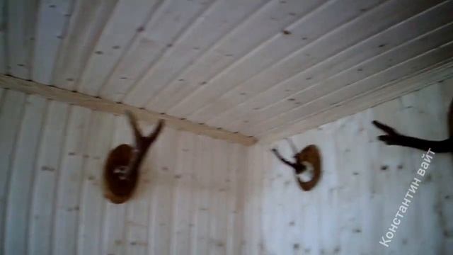 Дача шашлык баня история смотреть онлайн