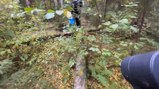 ХЕСУС БРАТИШКИН МАЗЕЛЛОВ SINDICSGO СОБИРАЮТ ГРИБЫ В ЛЕСУ