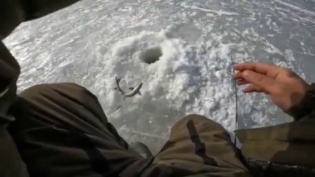 Ловля хариуса в Карелии, г. Кемь 15.04.2022г.