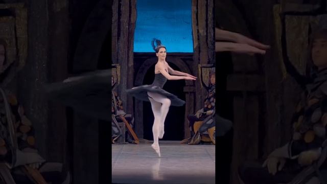 В коллекцию фуэте. Одиллия - Софья Саитова. смотреть онлайн