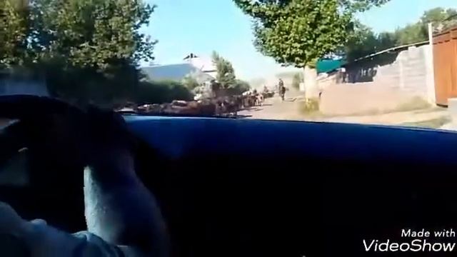 Овцы\ Овцы окружили машину\прикол 2017 смотреть онлайн