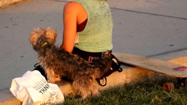 Прогулка по Венис-бич до пирса Санта-Моники в Лос-Анджелесе, Калифорния смотреть онлайн