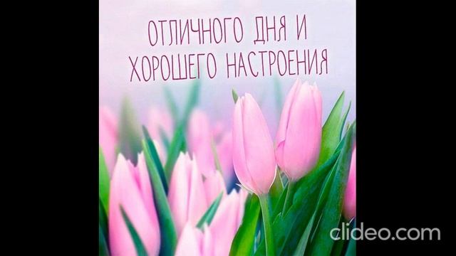 вечером 16.06 смотреть онлайн