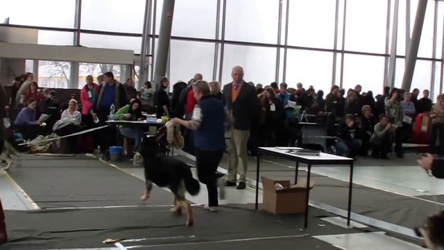 HDV 0450 смотреть онлайн