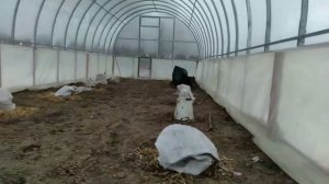 Увеличиваем высоту теплицы