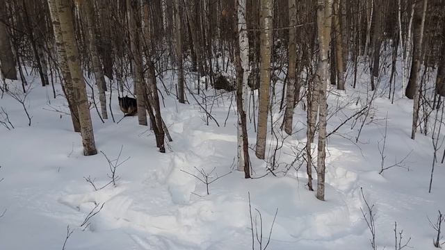 Поиск клада смотреть онлайн