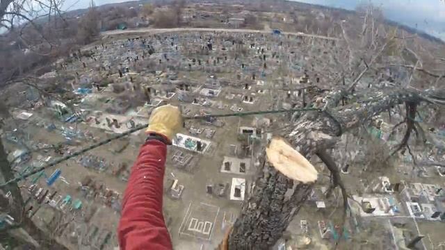 Бензопила Husqvarna 550XP MarkII ТЕСТ - работа на реальном объекте, отзыв владельца бензопилы STIHL