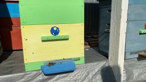 Наша Пасека. Пасека под крышей. Знакомство с нашей пасекой.