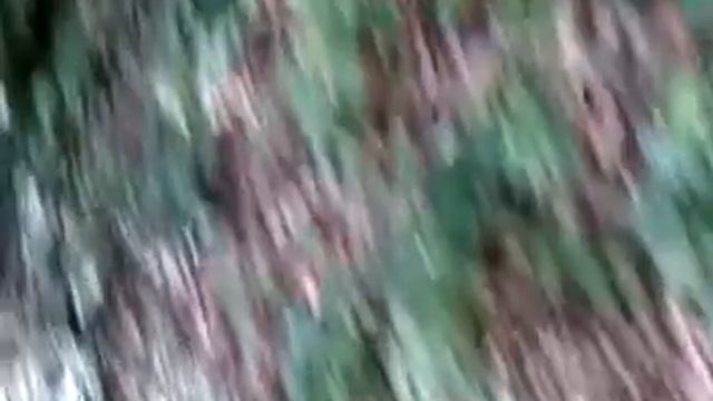 VIDEO0085.3gp смотреть онлайн