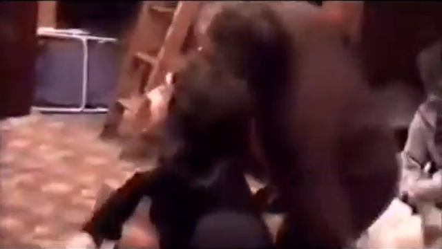 Михаил Горшенев смотреть онлайн