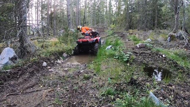 CST Wild Thang Test