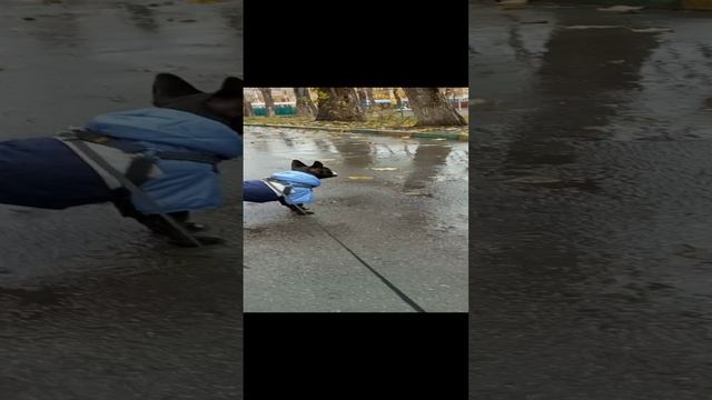 красафчик смотреть онлайн