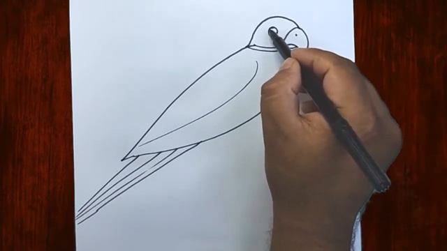 как нарисовать попугая | Учимся Рисовать Животных | Уроки Рисования смотреть онлайн