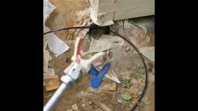 Вся ПРАВДА о новом аппарате YOKIJI 120