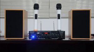 Hi fi цифровой усилитель звука, звука для домашнего кинотеатра, караоке, мощности 100wx2, usb а