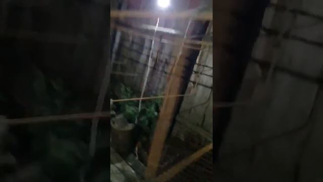 Вязка арматуры в ленточный фундамент или каркас под заливку фундамента смотреть онлайн