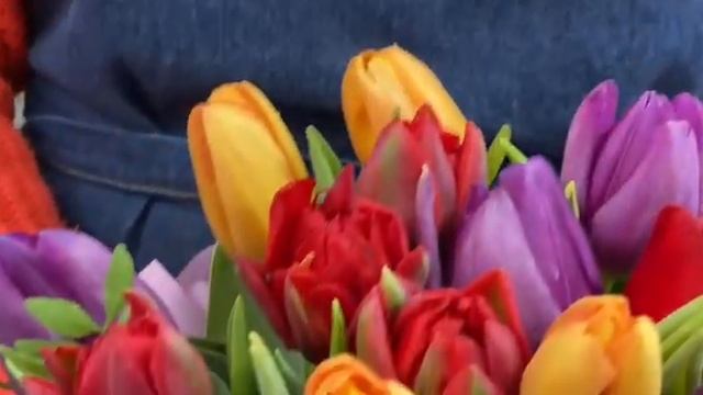 Букет 25 разноцветных тюльпанов в шляпной коробке смотреть онлайн