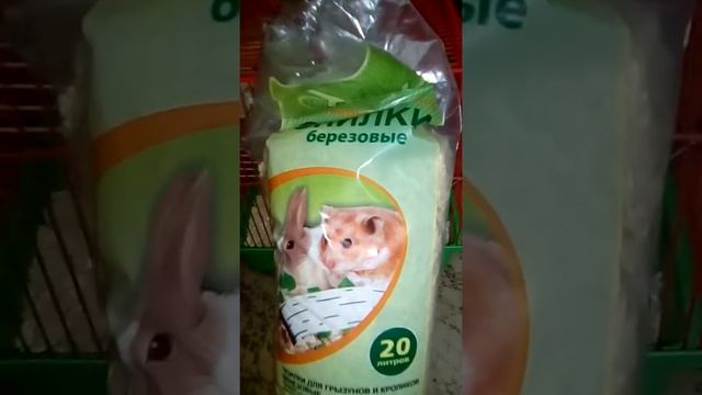 СОДЕРЖАНИЕ ХОМЯКА || ХОМА смотреть онлайн