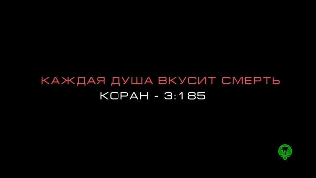 #мирскаяжизнь#мир#дунья Мирская жизнь! смотреть онлайн