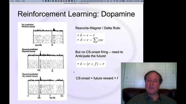 CCN Course 2020, Motor 8: Dopamine is reward prediction error смотреть онлайн