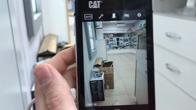 Телефон Cat смотреть онлайн