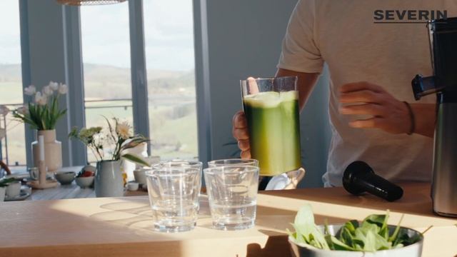 SEVERIN Licuadora de extracción lenta ES 3571 смотреть онлайн
